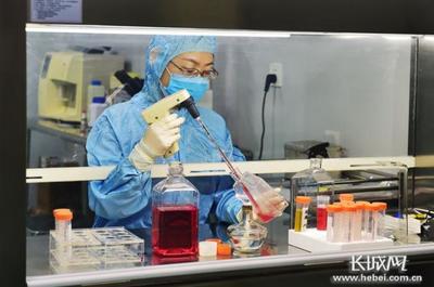 河北 '去'出发展新空间 '转'来发展新动能——生物技术开发引领新时代高质量发展