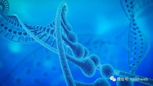 加立生物冲刺港股 9个月亏损4433万，林帝邦为大股东，生物技术开发成焦点