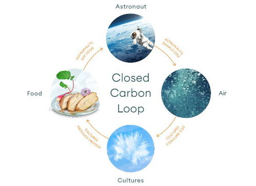 空气造肉 生物技术颠覆食品科技，人类饮食革命或将开启